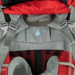 Ariel Plus 60L Backpack - Women's -Osprey CARRED D12