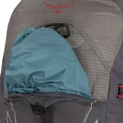 Talon Pro 20L Backpack -Osprey CAR D4
