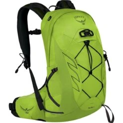 Talon 11L Backpack -Osprey LIMGRE