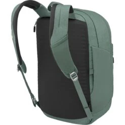 Arcane XL 22L Daypack -Osprey PINLEAGRE D1 3