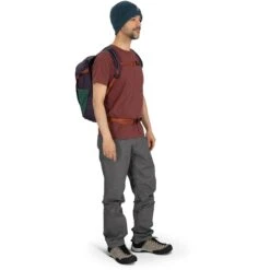 Osprey Daylite Plus Backpack - Wave Blue -Osprey osprey daylite plus 22 1256381