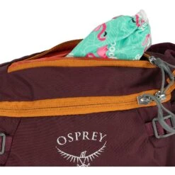 Osprey Savu 5 Waist Pack - Postal Blue -Osprey osprey savu 5 7 1392330 1